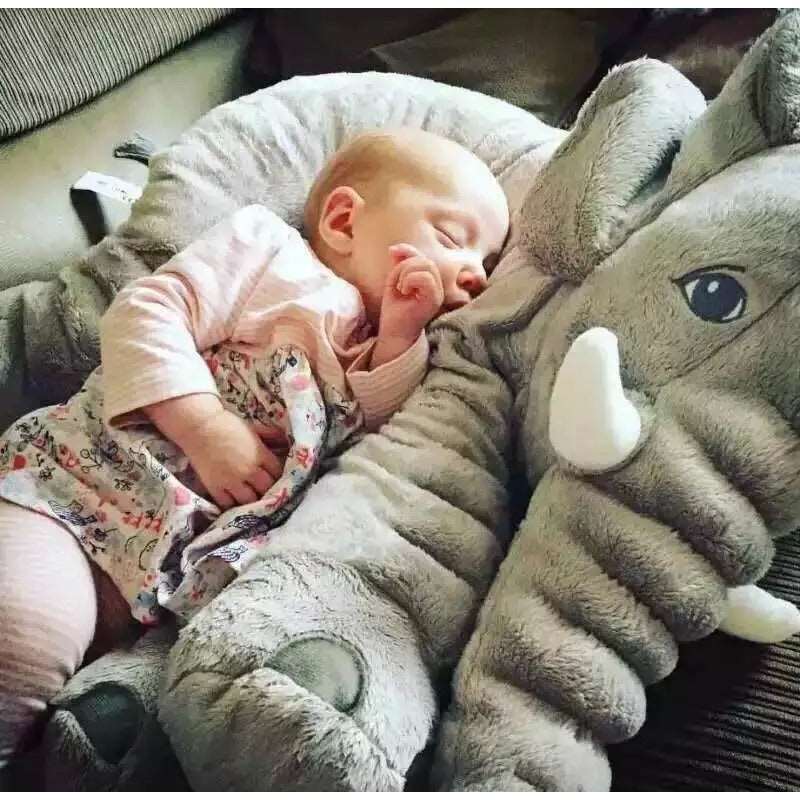 Baby Toys Elephant Plush Toy